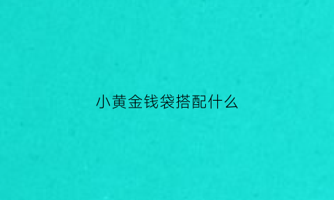 小黄金钱袋搭配什么