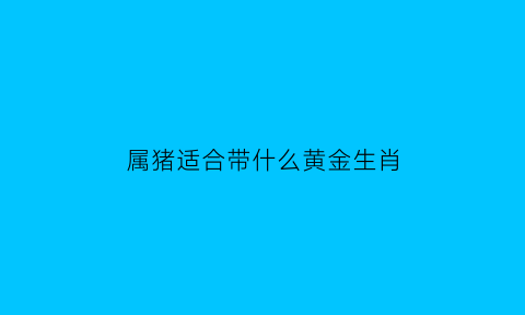 属猪适合带什么黄金生肖(属猪适合带什么黄金生肖饰品)