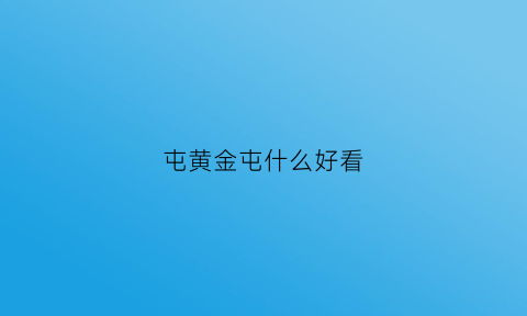 屯黄金屯什么好看(屯黄金屯什么好看)