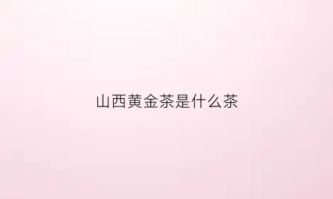 山西黄金茶是什么茶