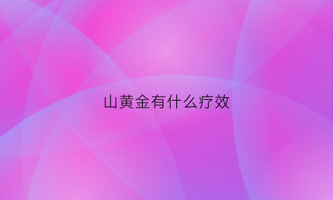 山黄金有什么疗效(山黄金草药是什么样子)