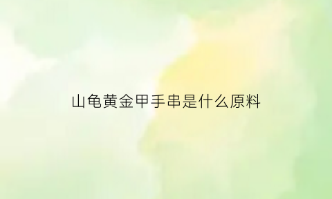 山龟黄金甲手串是什么原料