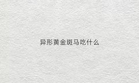 异形黄金斑马吃什么