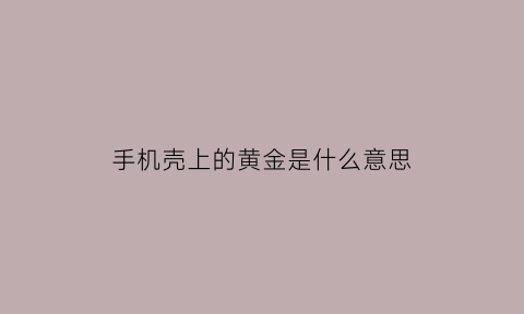 手机壳上的黄金是什么意思(手机壳上的黄金是什么意思啊)