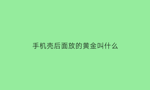 手机壳后面放的黄金叫什么(手机壳后面放东西有什么影响)