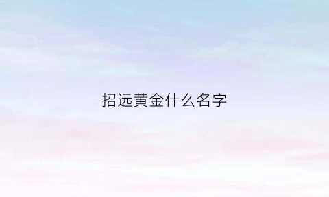 招远黄金什么名字(招远黄金品位)