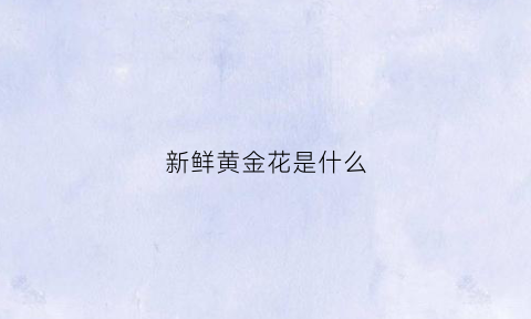 新鲜黄金花是什么(黄金花怎么种)