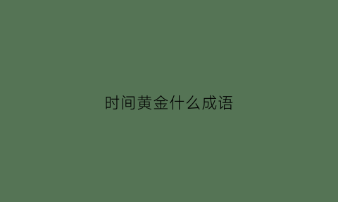 时间黄金什么成语