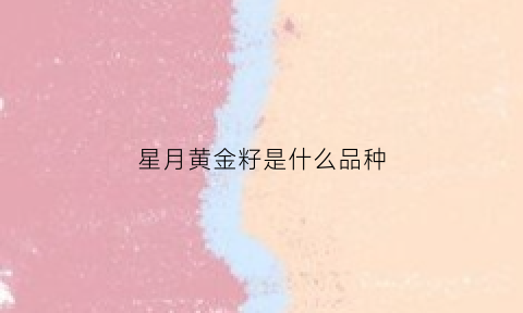 星月黄金籽是什么品种