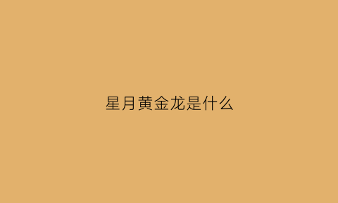 星月黄金龙是什么