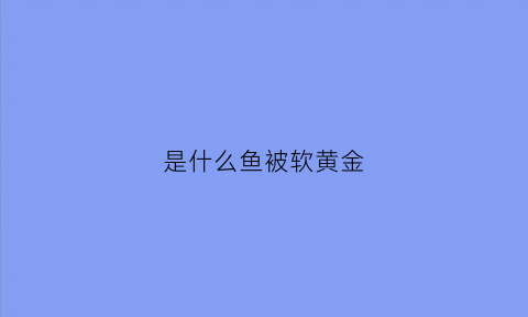 是什么鱼被软黄金(因为价格高昂被称为软黄金的鱼类是什么)