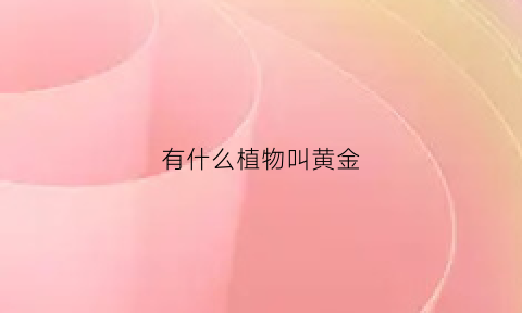 有什么植物叫黄金