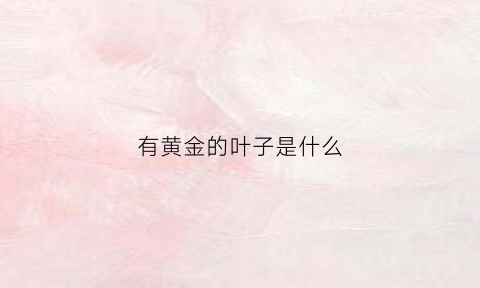 有黄金的叶子是什么(黄金的叶子长什么样)