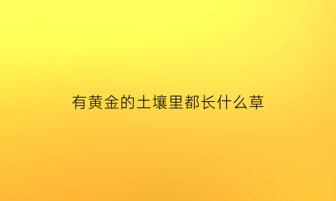 有黄金的土壤里都长什么草(有黄金的土地长什么样)