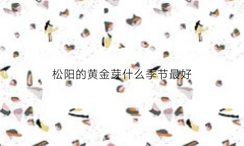 松阳的黄金芽什么季节最好