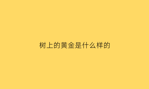 树上的黄金是什么样的