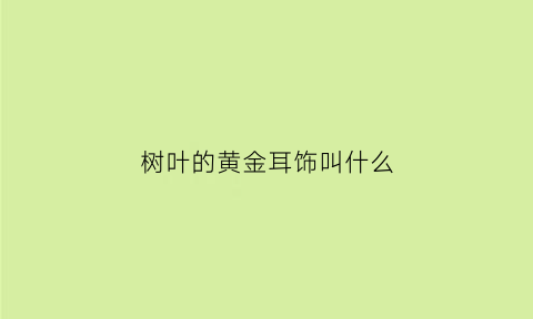 树叶的黄金耳饰叫什么