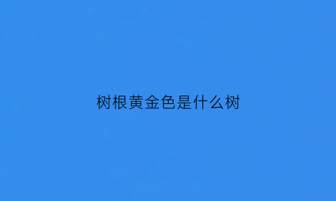 树根黄金色是什么树