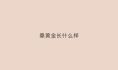 桑黄金长什么样(桑黄有重金属吗)