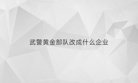 武警黄金部队改成什么企业