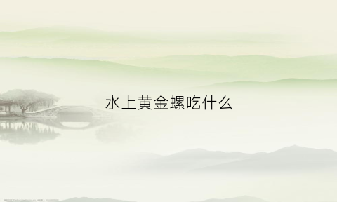 水上黄金螺吃什么(黄金螺飘在水上)