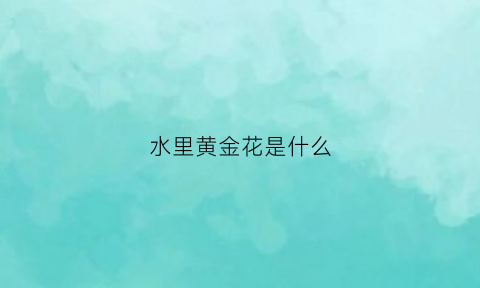 水里黄金花是什么