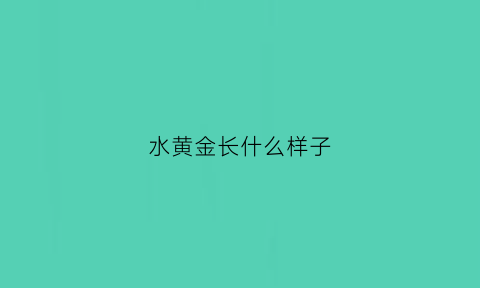 水黄金长什么样子(水黄金水产)