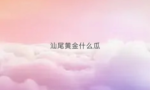 汕尾黄金什么瓜