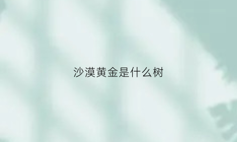 沙漠黄金是什么树