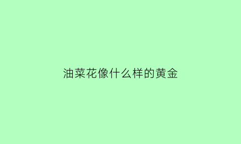 油菜花像什么样的黄金