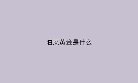 油菜黄金是什么