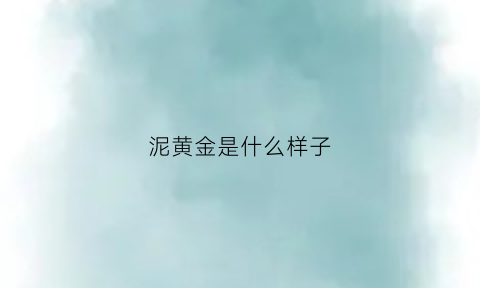 泥黄金是什么样子(泥金值钱么)