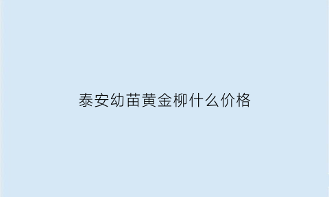 泰安幼苗黄金柳什么价格