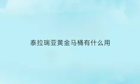 泰拉瑞亚黄金马桶有什么用(泰拉瑞亚黄金长什么样子)