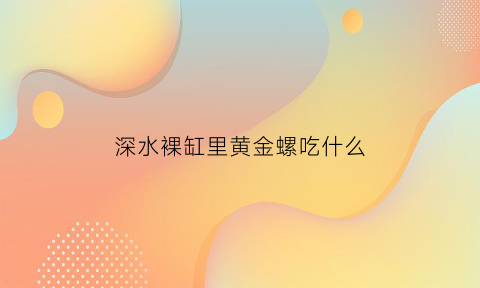 深水裸缸里黄金螺吃什么(黄金螺吃缸壁上绿藻吗)