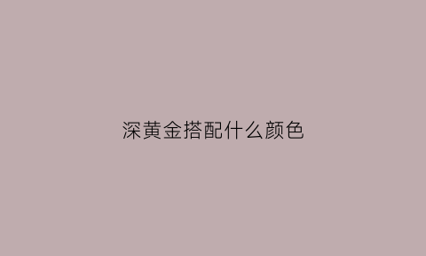 深黄金搭配什么颜色(深黄金搭配什么颜色好看)