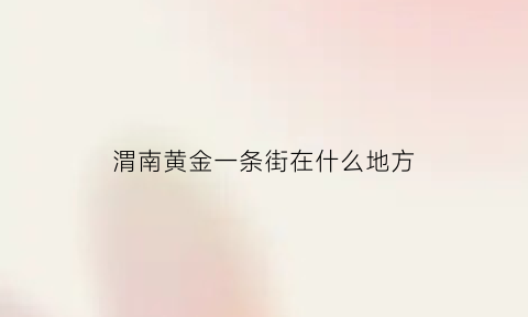 渭南黄金一条街在什么地方