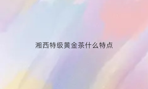 湘西特级黄金茶什么特点