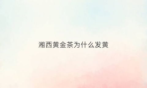 湘西黄金茶为什么发黄(湘西黄金茶包装图片)