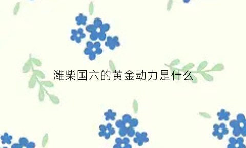 潍柴国六的黄金动力是什么(潍柴国六发动机型号及参数)