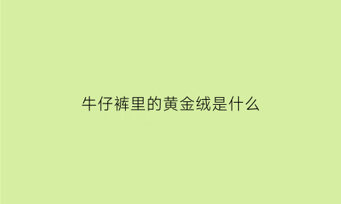 牛仔裤里的黄金绒是什么(牛仔裤的黄金叶)