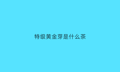 特级黄金芽是什么茶(特级黄金芽茶叶价格一般在多少)