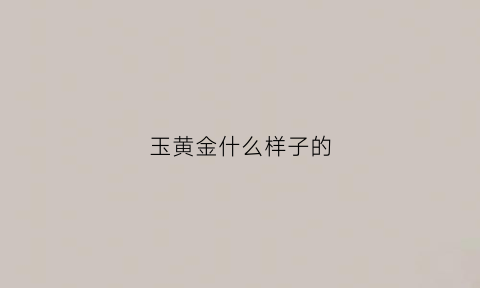 玉黄金什么样子的