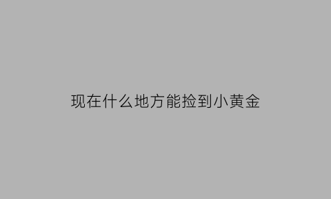 现在什么地方能捡到小黄金(现在什么地方能捡到小黄金呢)