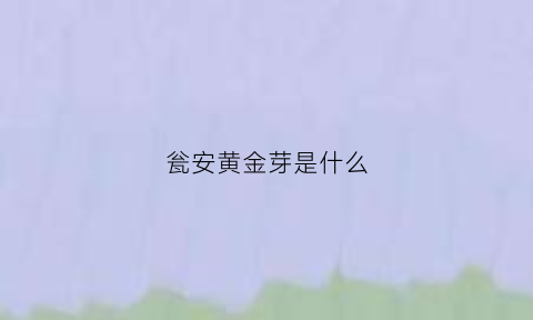 瓮安黄金芽是什么(贵州黄金芽茶)