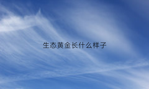 生态黄金长什么样子(黄金生态城楼盘详情)