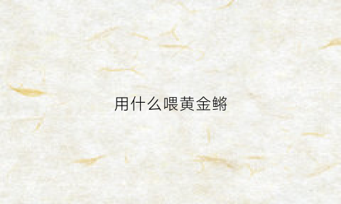 用什么喂黄金鳉(用什么可以喂金鱼)