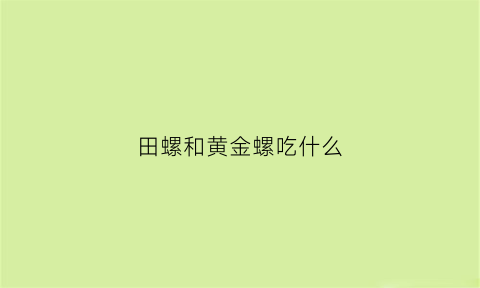 田螺和黄金螺吃什么