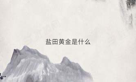 盐田黄金是什么(盐田黄金是什么金属)