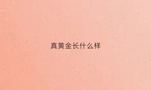 真黄金长什么样